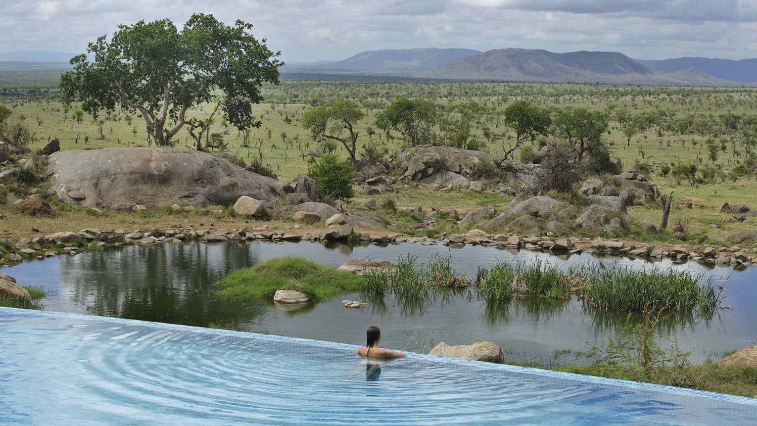 Serengeti Wildlife Pool